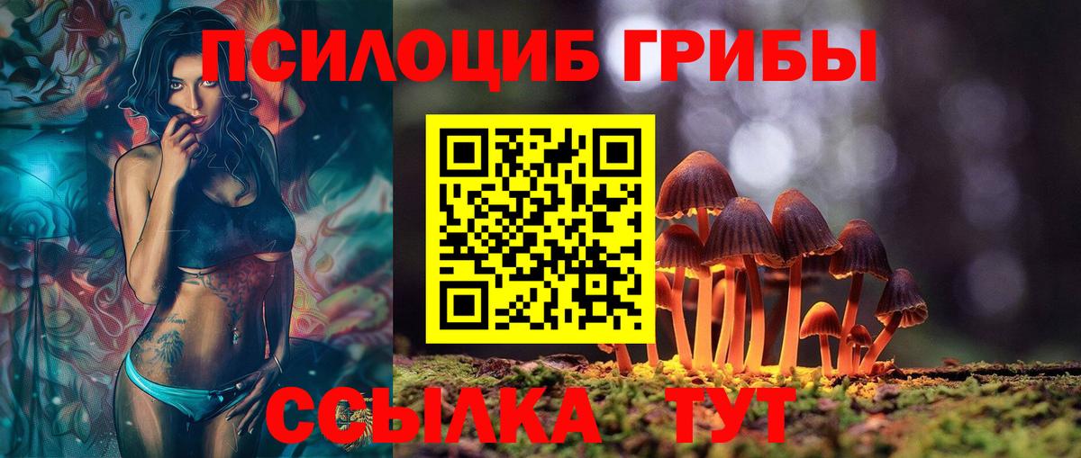 Псилоцибиновые грибы Cubensis  Вход с VPN  магазин продажи   Ступино 