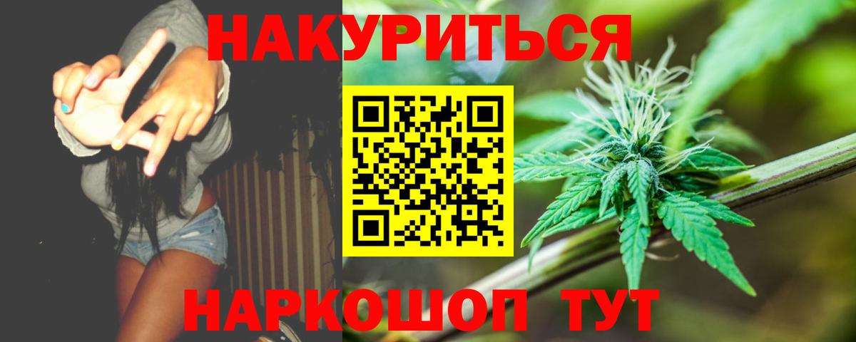 Конопля гибрид Ступино